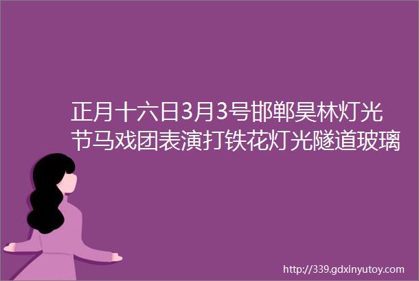 正月十六日3月3号邯郸昊林灯光节马戏团表演打铁花灯光隧道玻璃栈道一日游特价80元