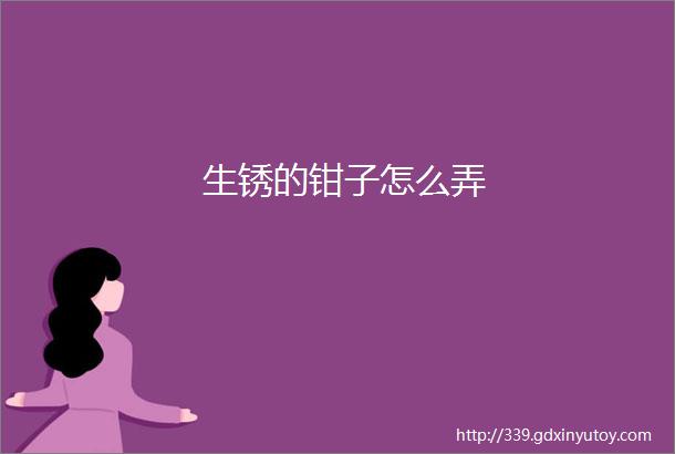 生锈的钳子怎么弄