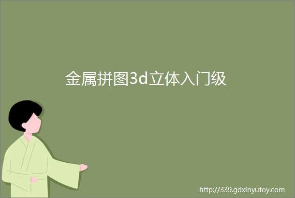 金属拼图3d立体入门级