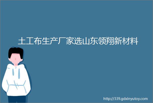 土工布生产厂家选山东领翔新材料