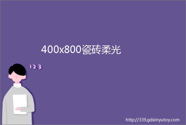 400x800瓷砖柔光